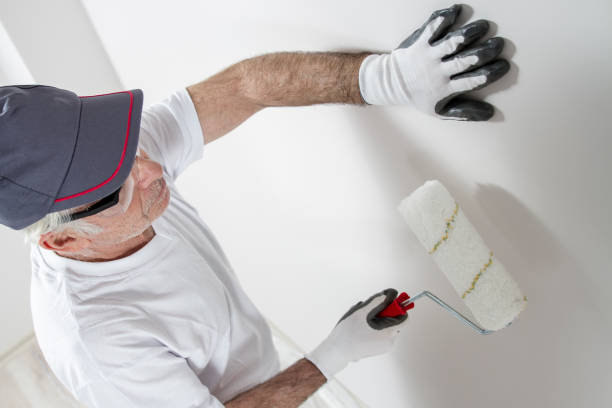 Best Crawl Space Mold Remediation  in West Peoria, IL