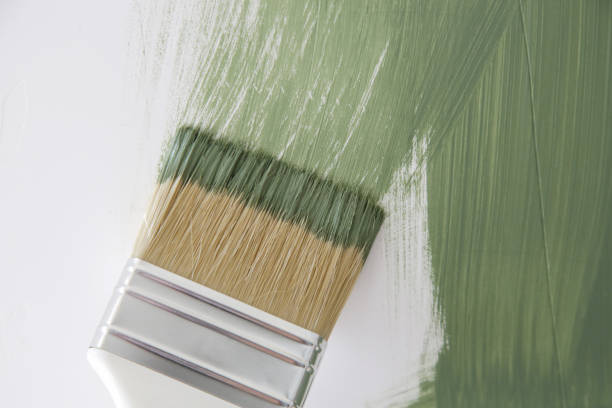 Best Black Mold Removal  in West Peoria, IL