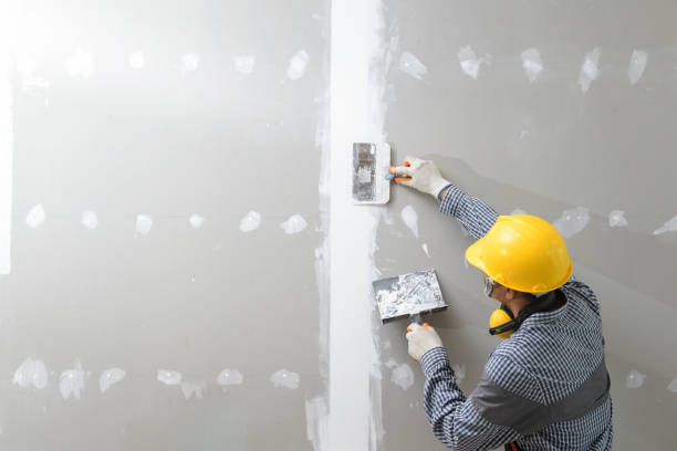Professional Mold Removal in West Peoria, IL