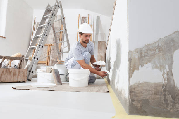 Best Real Estate Mold Inspection  in West Peoria, IL