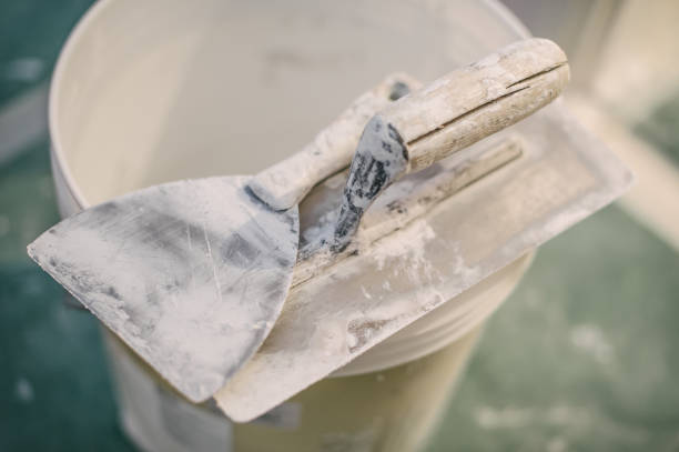 Best Forensic Mold Investigation  in West Peoria, IL